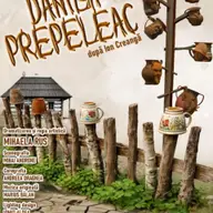 Danila Prepeleac