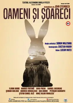 Oameni si soareci