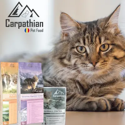 Distribuitor mancare pisici - Carpathians Pet Food